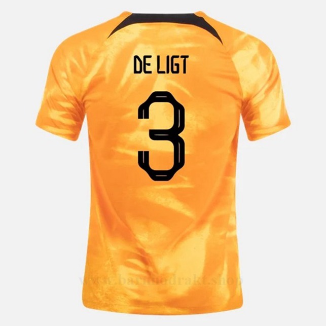 Billige Fotballdrakter Nederland DELIGT #3 Hjemme Draktsett VM 2022